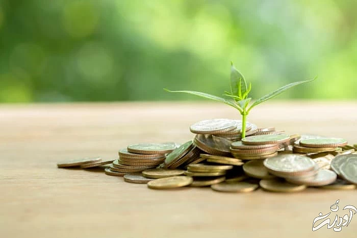 صله رحم و افزایش رزق